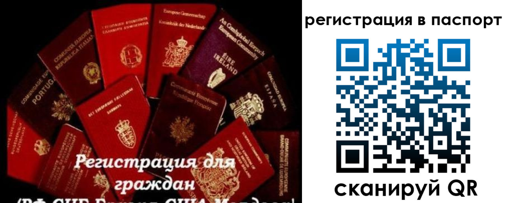 миграционный учет в Звенигово